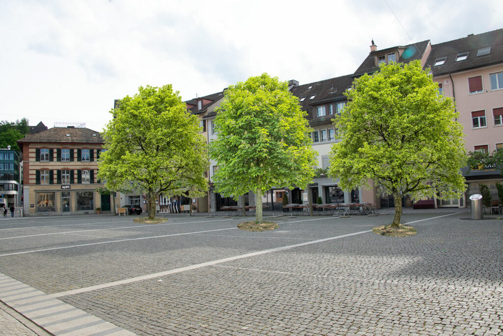 Bäume auf dem Neumarkt Winterthur
